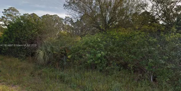 Lehigh Acres, FL 33974,1245 Ramee ST E