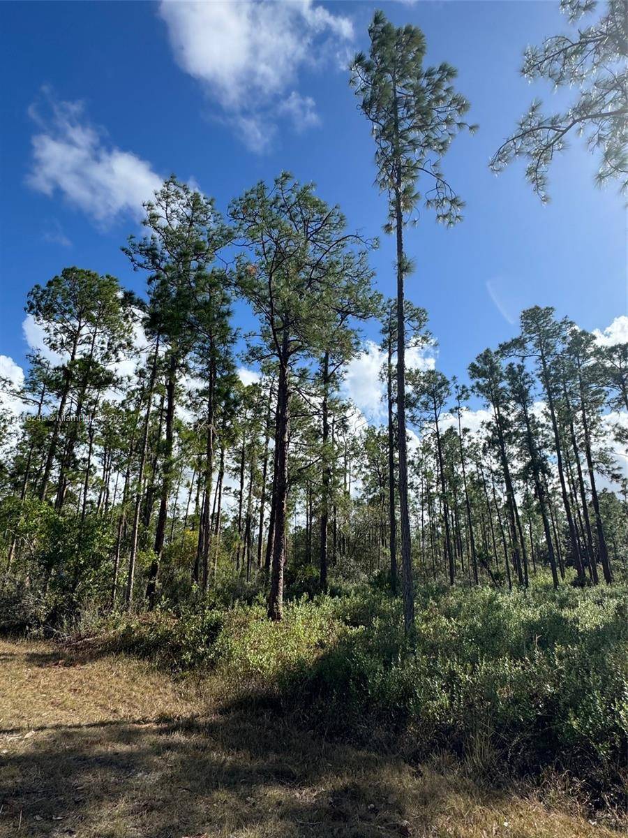 Lake Wales, FL 33855,806 Belmonte Drive