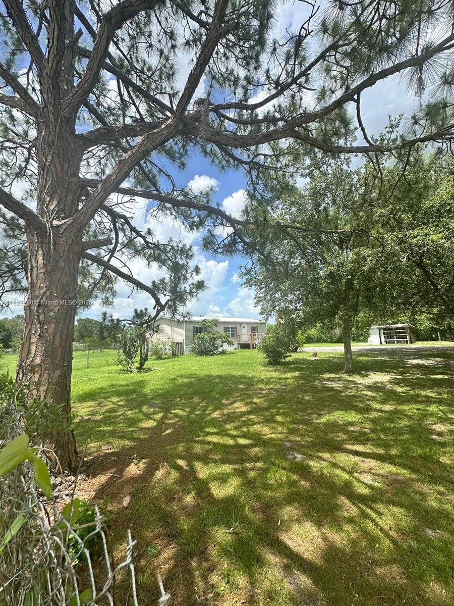 Clewiston, FL 33440,451 Bald Cypress