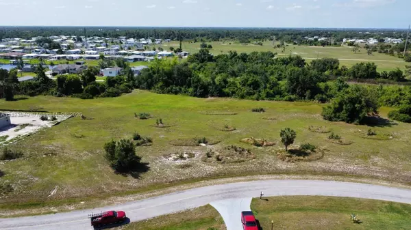 Punta Gorda, FL 33982,29031 TORTOISE TRL