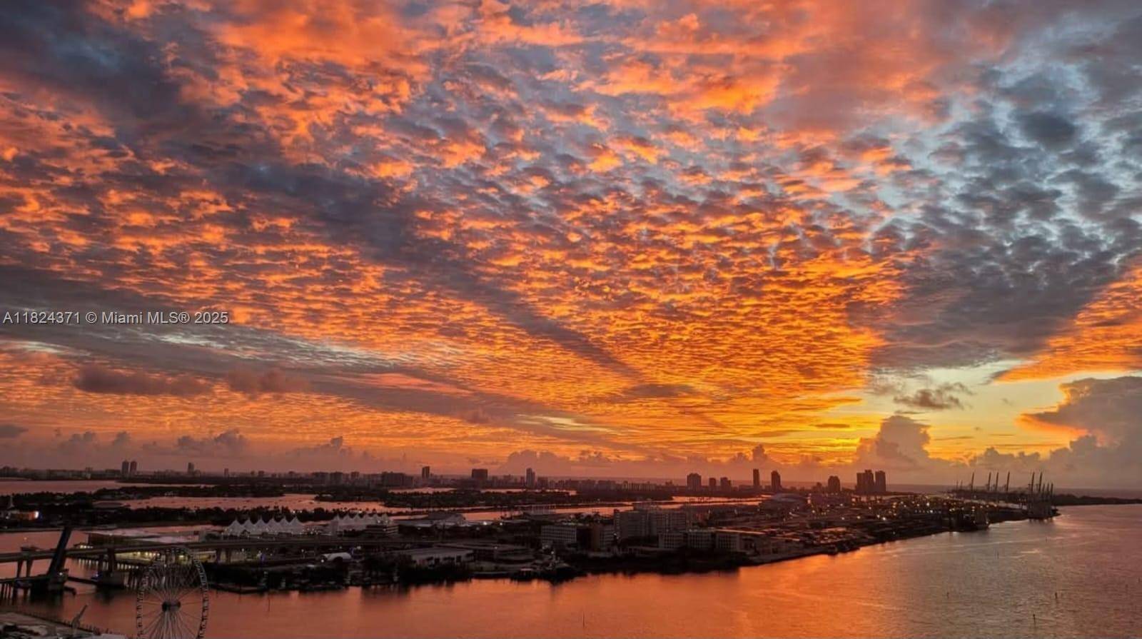 Miami, FL 33132,50 Biscayne Blvd #3006