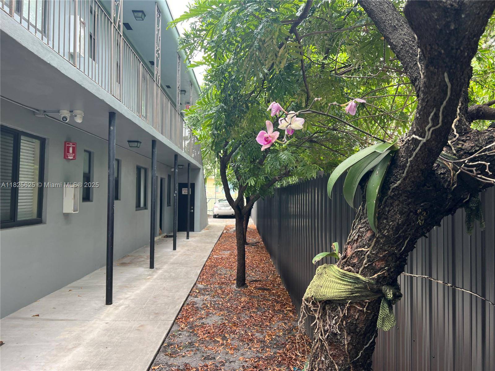 Miami, FL 33125,421 SW 6 #4