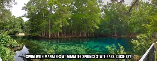 Other City - In The State Of Florida, FL 32693,Old Fanning Rd