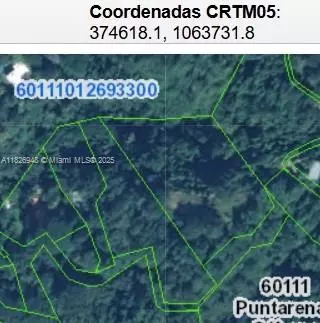 CO,CALLE PUBLICA MALPAIS, COSTA RICA