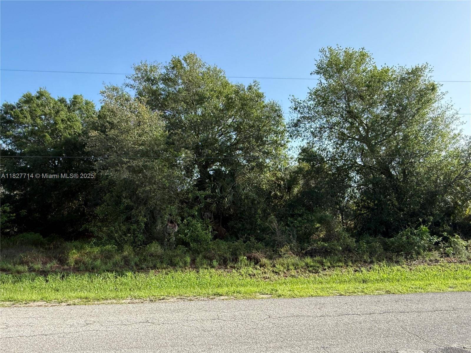 Clewiston, FL 33440,209 BALD CYPRESS AVE