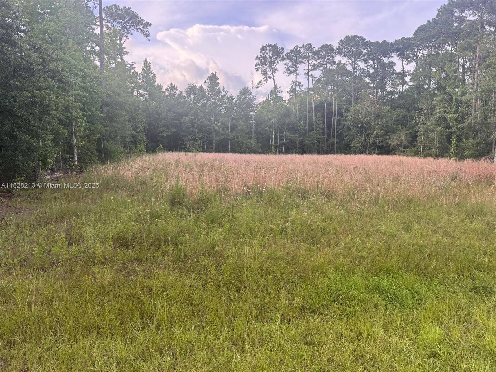 XX Del Monte St, Other City - In The State Of Florida, FL 32583
