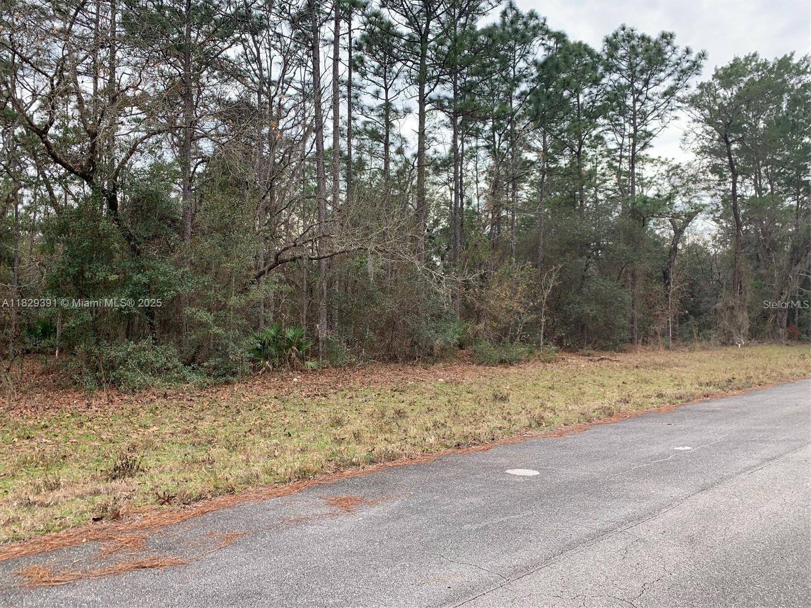 Ocala, FL 34473,156 ST