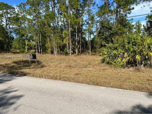 Lehigh Acres, FL 33974,511 Addison St E