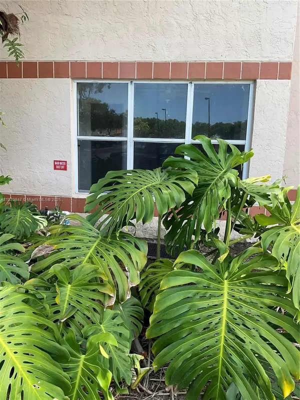 Margate, FL 33063,3320 N Pinewalk Dr N #1715