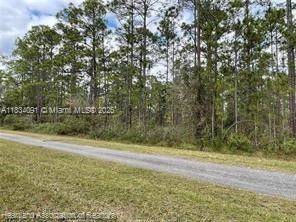 Lake Wales, FL 33898,0 Oleander Drive