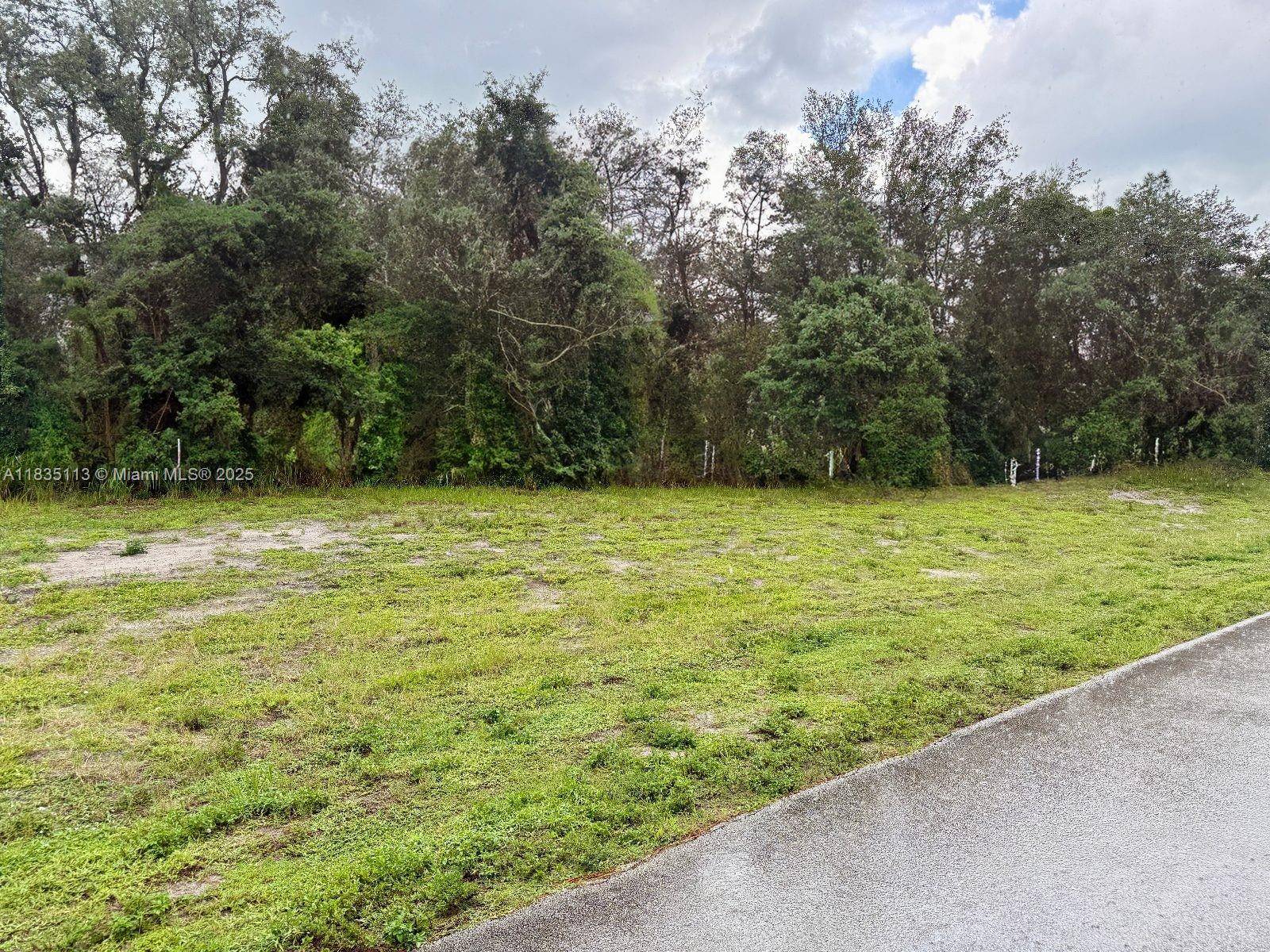 Sebring, FL 33875,5036 LAKE REGENCY DR