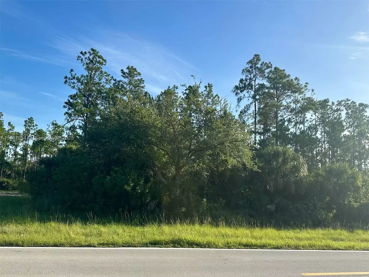 Lehigh Acres, FL 33974,107 Oboe Ct