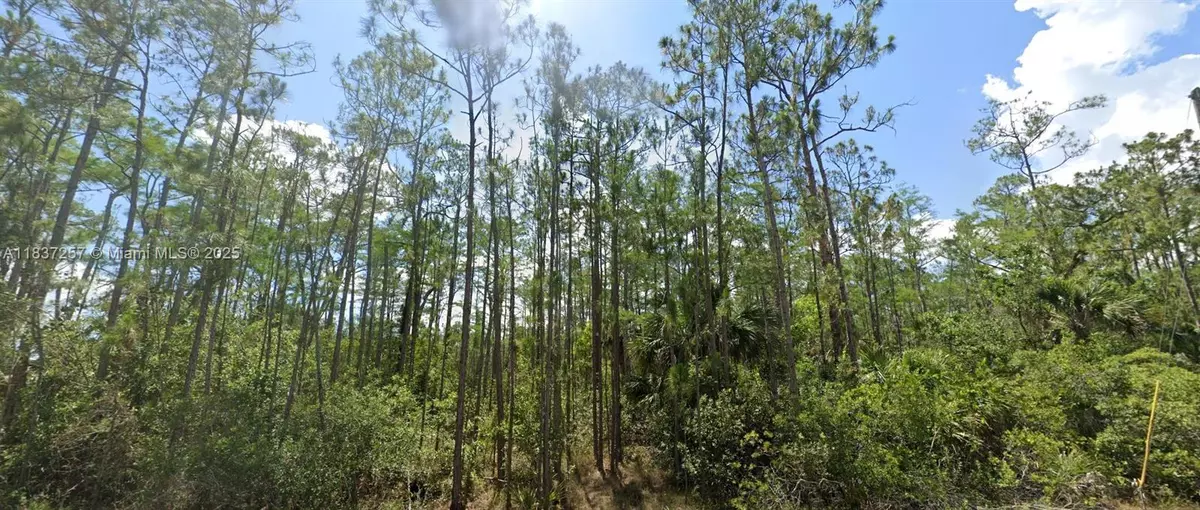 Lehigh Acres, FL 33972,1903 Weller Ave