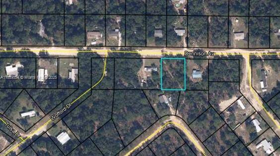 6285 DENNISON AVE, Other, FL 32656