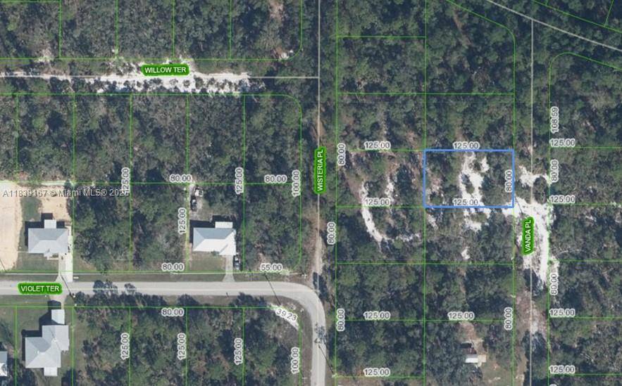 Sebring, FL 33875,6809 VANDA PL
