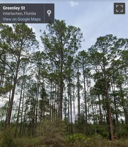 00 Greenley ST, Palatka, FL 32148