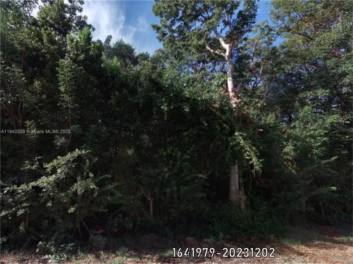 Other City - In The State Of Florida, FL 33037,00 Poinsetta