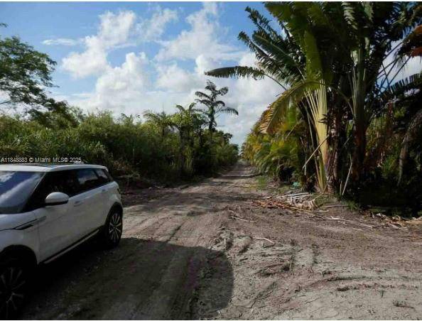 SW 212th Ave, Unincorporated Dade, FL 33034