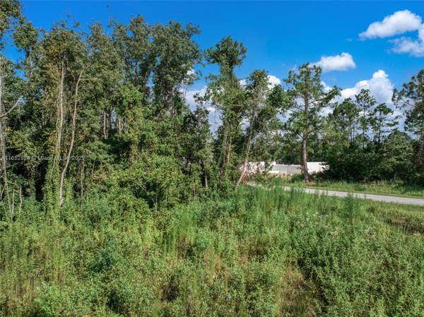 Sebring, FL 33872,7922 Bernal Drive