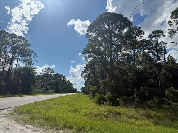 Clewiston, FL 33440,545 APPALOOSA AVE