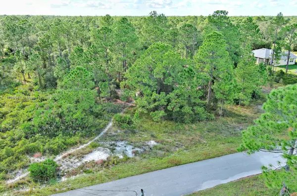 1221 Wellington Ave, Lehigh Acres, FL 33972