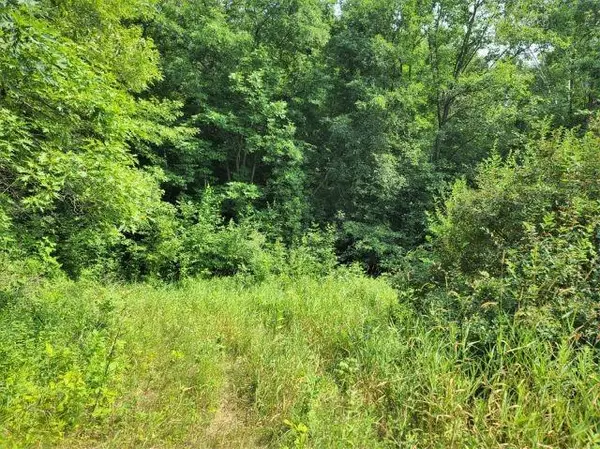 Luck, WI 54853,Lot 21 Wilderness Hills