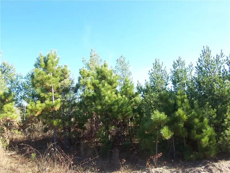 Lot 5 Ashtons Trail, Webster, WI 54893