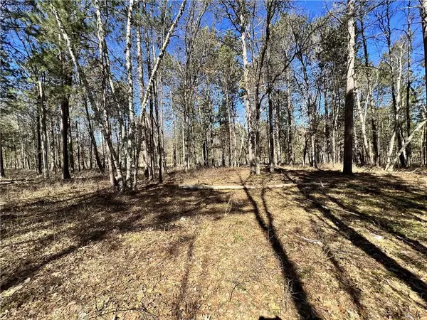 Danbury, WI 54830,XXX Great Bear Passage