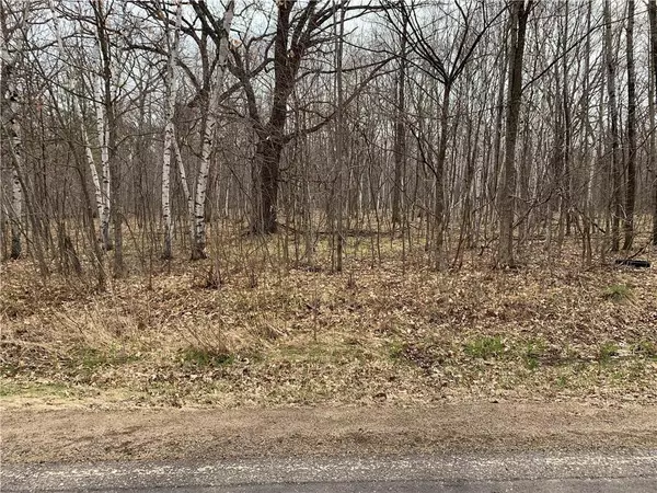 Cadott, WI 54727,Lot 1 105th Avenue