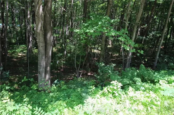 LOT 2 ROCKIE RD, Fall Creek, WI 54742