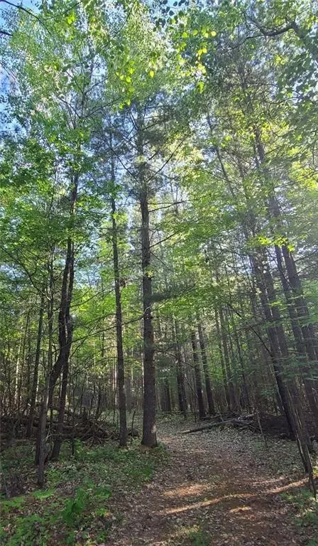 Webster, WI 54893,XX Normans Landing