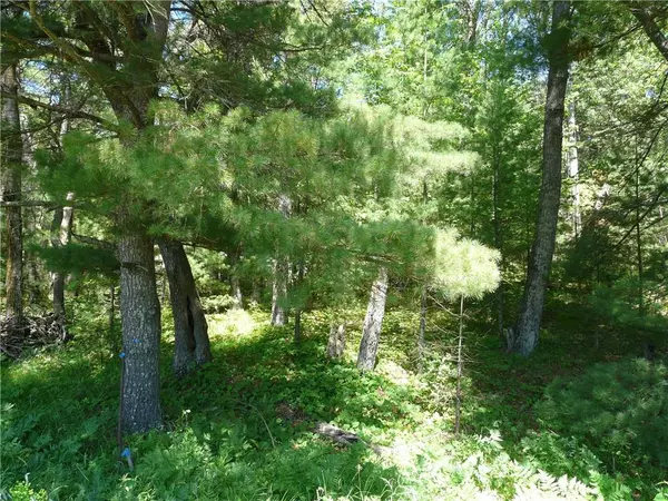 Webster, WI 54893,Lot 6 Bushey Road