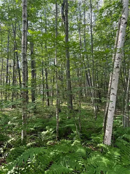 Lot 2 Fosmo, Webster, WI 54893