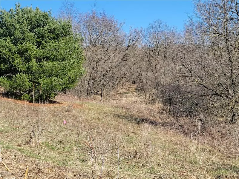 Lot 31 Mertinke Landing, Eleva, WI 54738
