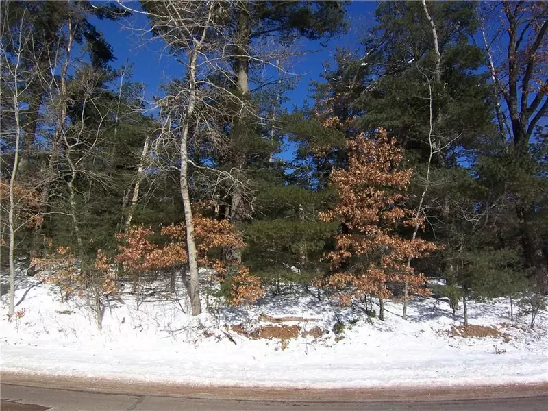 Lot 3 Bushey Road, Webster, WI 54893