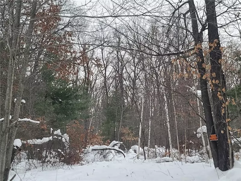 26735 Bass Avenue, Webster, WI 54893