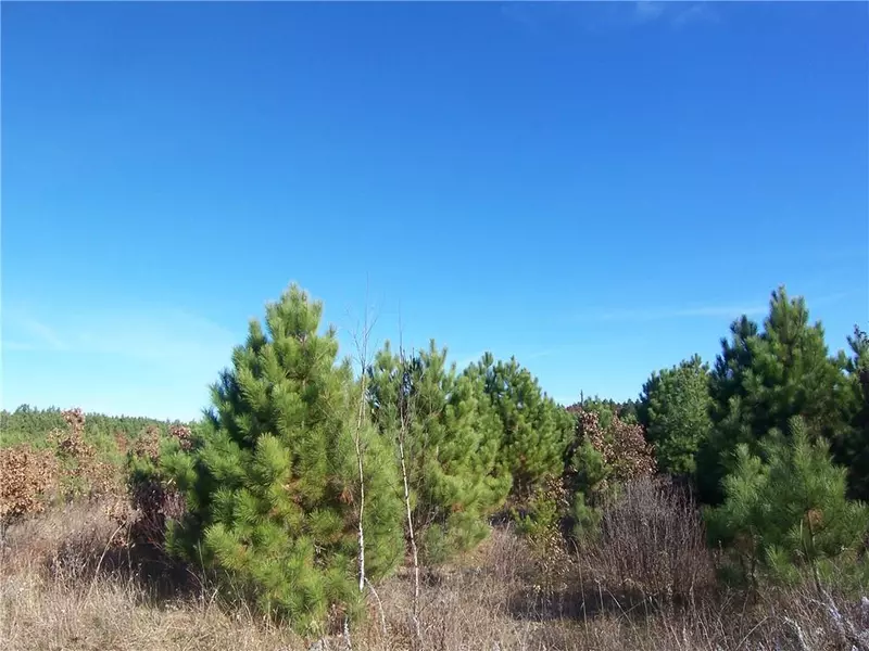 Lot 12 Ashtons Trail, Webster, WI 54893