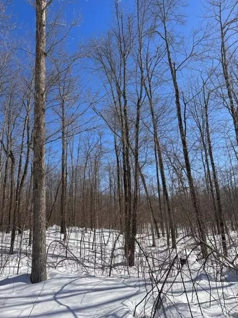 Couderay, WI 54828,0 Hideaway Lane - Lot 3