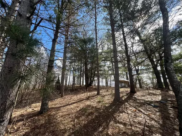 Webster, WI 54893,00000 Gaslyn Road