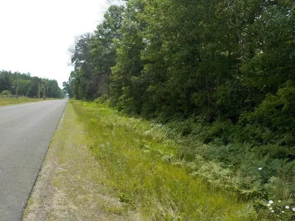 Webster, WI 54893,7025 Pinewood Trail