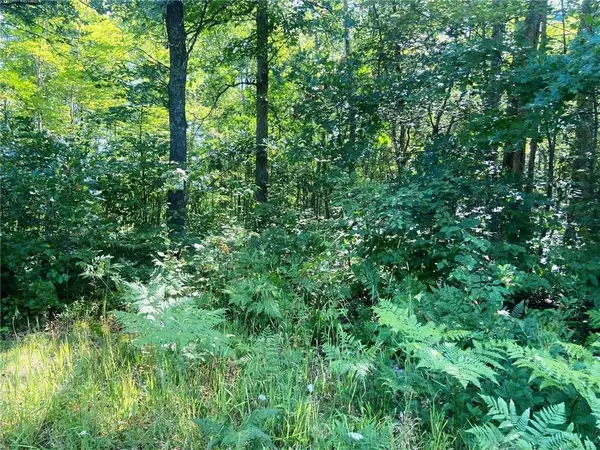 Webster, WI 54893,XXX Lee Road