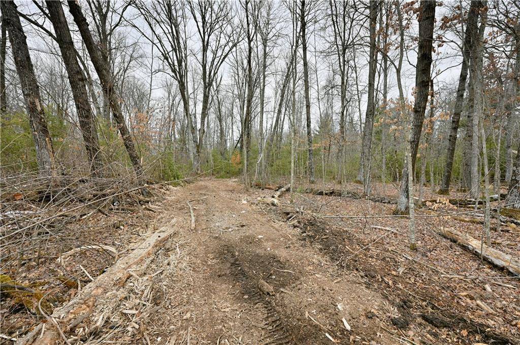 Webster, WI 54893,Lot 5 Maria's Way