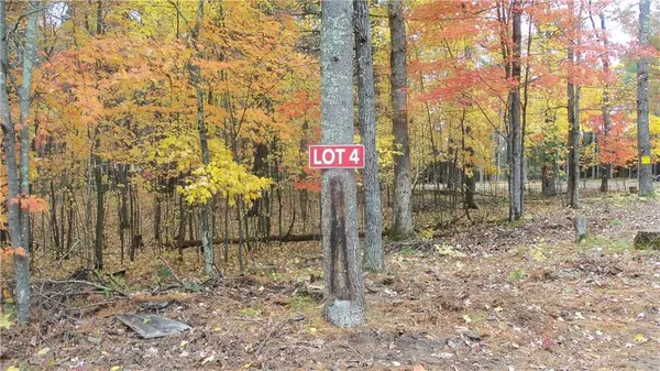 Webster, WI 54893,Lot 4 Anchor Inn Rd