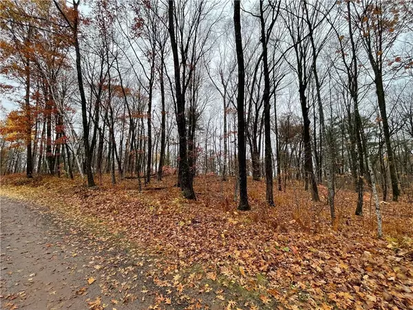 Birchwood, WI 54817,Lot 5 Eagles Nest Road