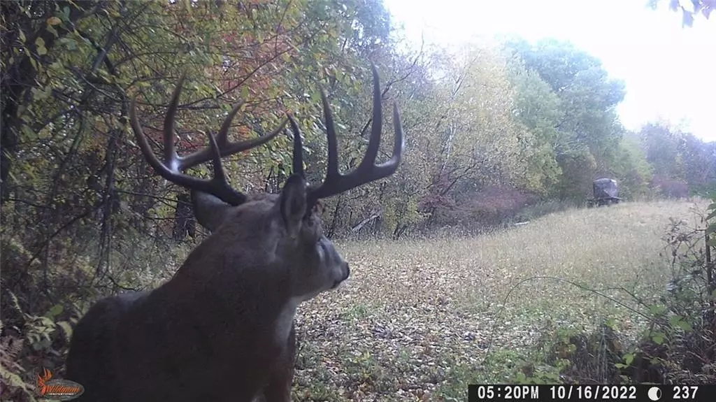 0 Baumgarten Lane, Eleva, WI 54738