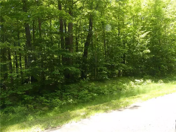 Cumberland, WI 54829,Lot 2 25 1/4 Avenue