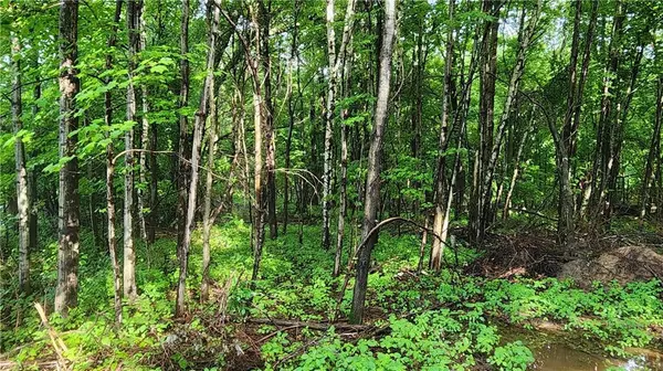 Lot 1 (10.64 Acres) County Road M, Elk Mound, WI 54739