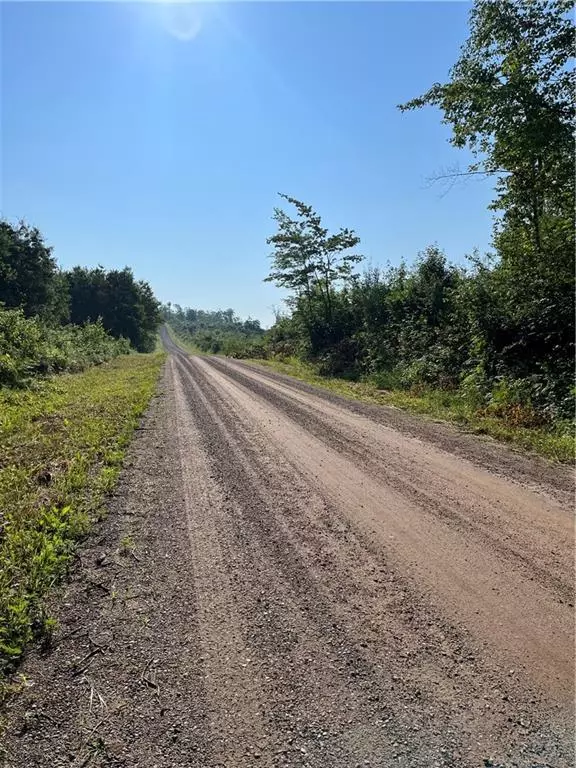 Boyd, WI 54726,24405 E Stoney Lonesome Road