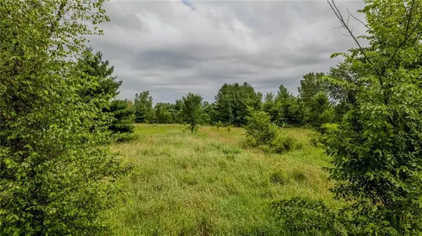 Lot 5 110th Avenue, Mondovi, WI 54755