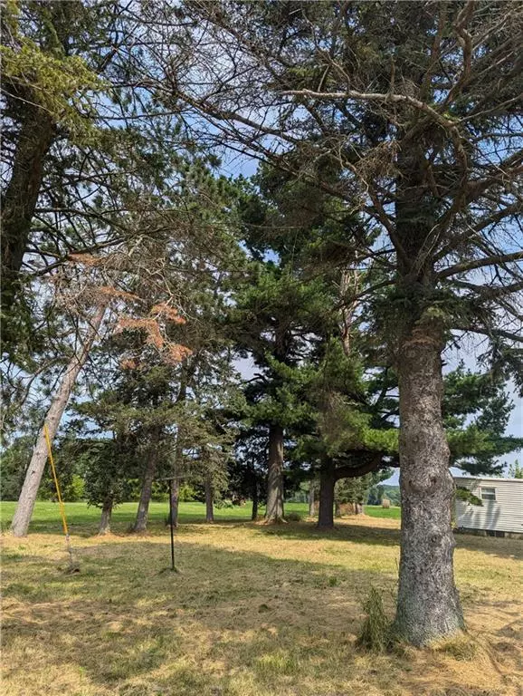 Clayton, WI 54001,334 120th Avenue